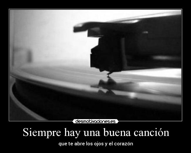 carteles mutilacion asdsdsdad sangre fantasmas uwu desmotivaciones