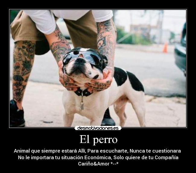 El perro - Animal que siempre estará Allí, Para escucharte, Nunca te cuestionara
No le importara tu situación Económica, Solo quiere de tu Compañía
Cariño&Amor *--*