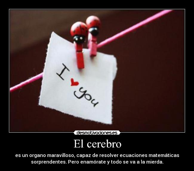 El cerebro - es un organo maravilloso, capaz de resolver ecuaciones matemáticas
sorprendentes. Pero enamórate y todo se va a la mierda.