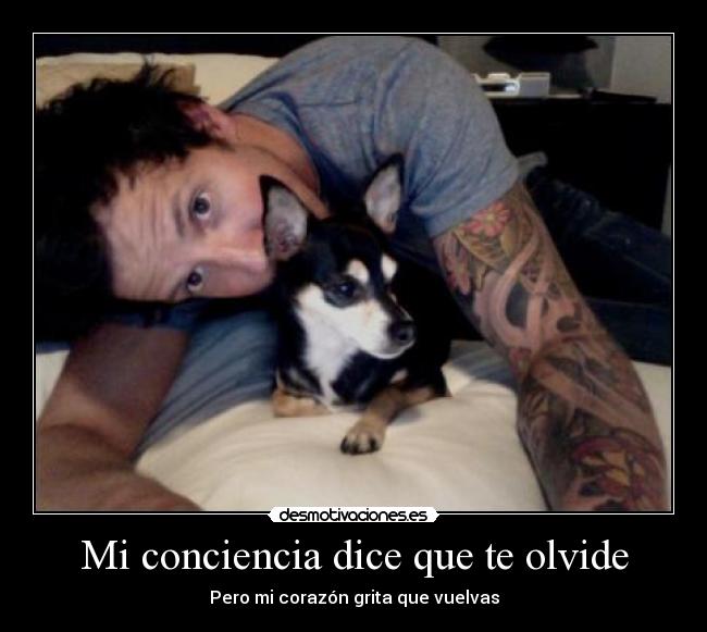 carteles neptun4 desmotivaciones