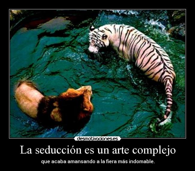 La seducción es un arte complejo - 