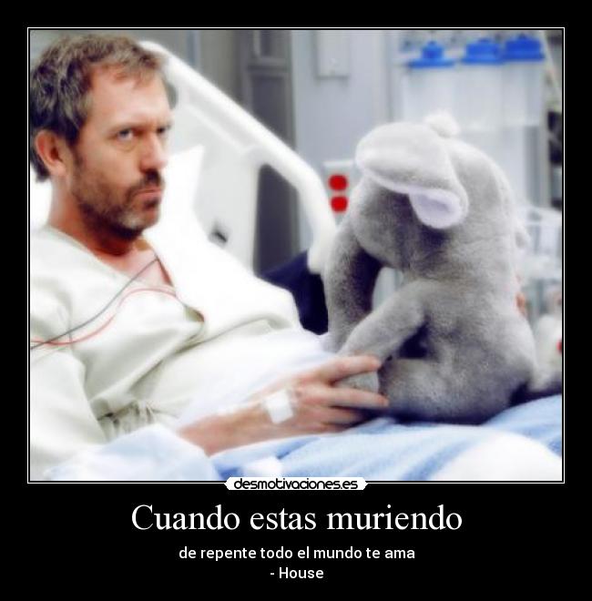 carteles morir desmotivaciones