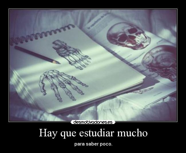 Hay que estudiar mucho - para saber poco.