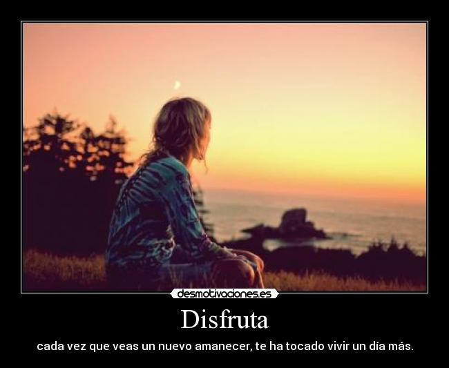 Disfruta - 