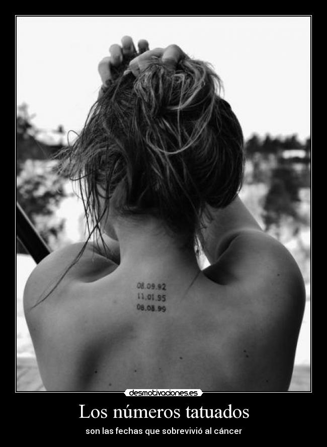 Los números tatuados -