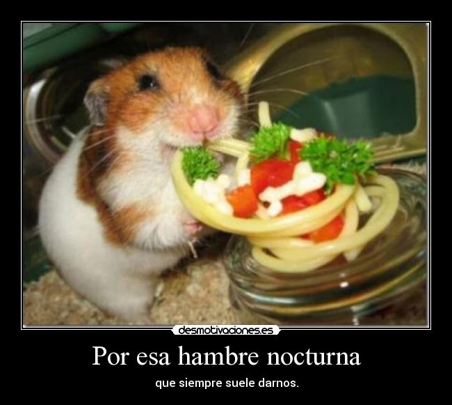 Por esa hambre nocturna -