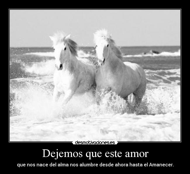 Dejemos que este amor - 