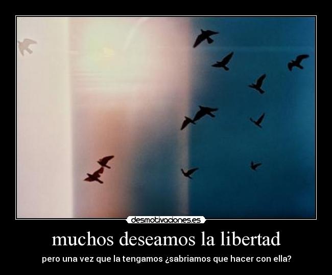 muchos deseamos la libertad - pero una vez que la tengamos ¿sabriamos que hacer con ella?