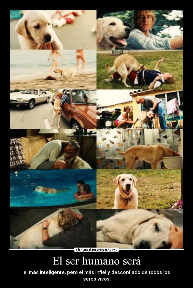 carteles neptun4 desmotivaciones