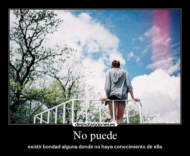 No puede - existir bondad alguna donde no haya conocimiento de ella.