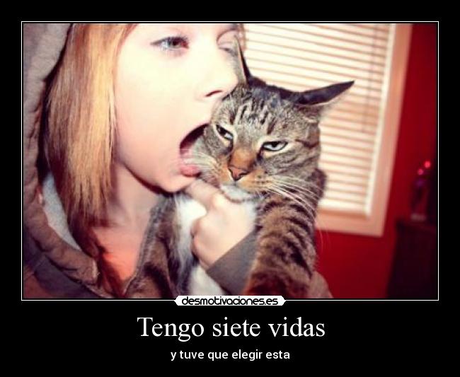 Tengo siete vidas -