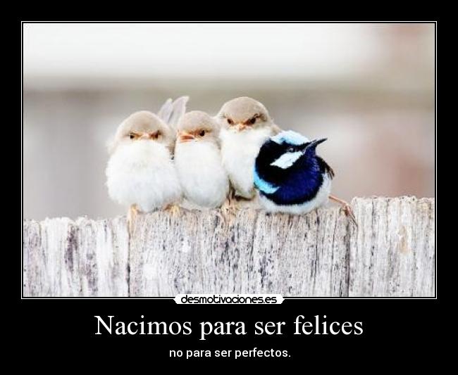 Nacimos para ser felices - no para ser perfectos.