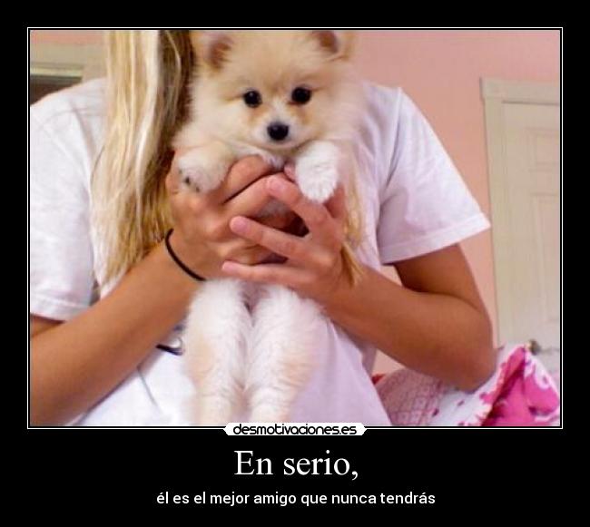 En serio, - él es el mejor amigo que nunca tendrás