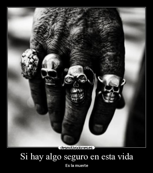 carteles vida skull desmotivaciones
