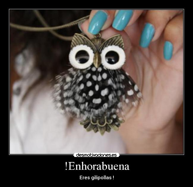 !Enhorabuena - Eres gilipollas !