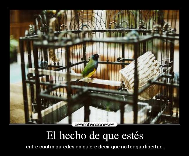 El hecho de que estés - entre cuatro paredes no quiere decir que no tengas libertad.