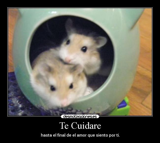 Te Cuidare - 