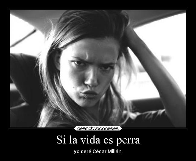 Si la vida es perra -