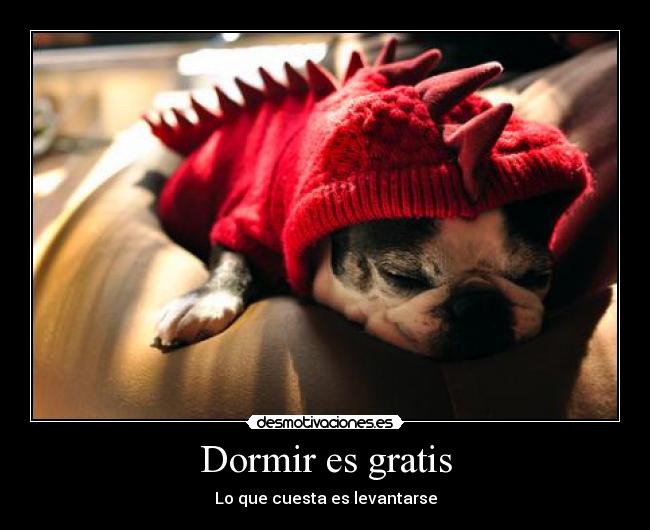 Dormir es gratis -