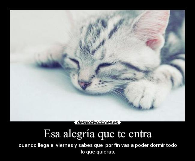 Esa alegría que te entra - 