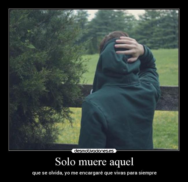 carteles maaria9 desmotivaciones