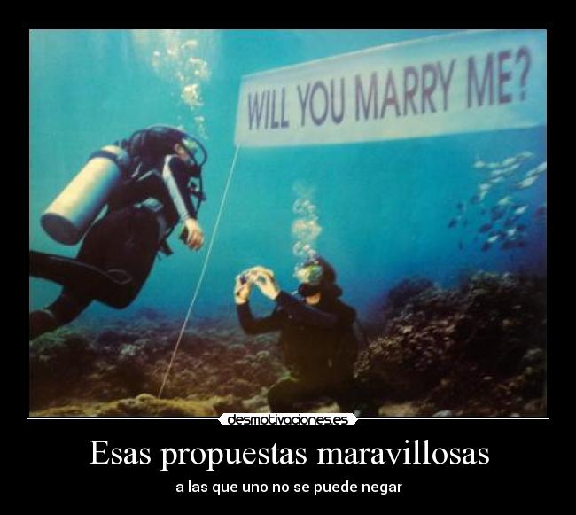 Esas propuestas maravillosas - 