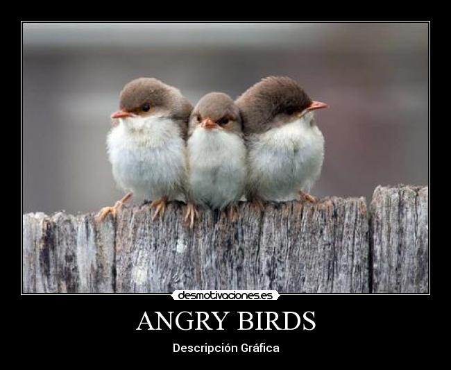 ANGRY BIRDS - Descripción Gráfica