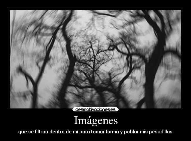Imágenes - 
