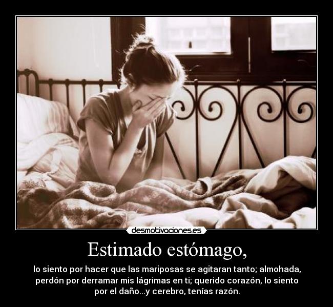 Estimado estómago, - lo siento por hacer que las mariposas se agitaran tanto; almohada,
perdón por derramar mis lágrimas en ti; querido corazón, lo siento
por el daño...y cerebro, tenías razón.