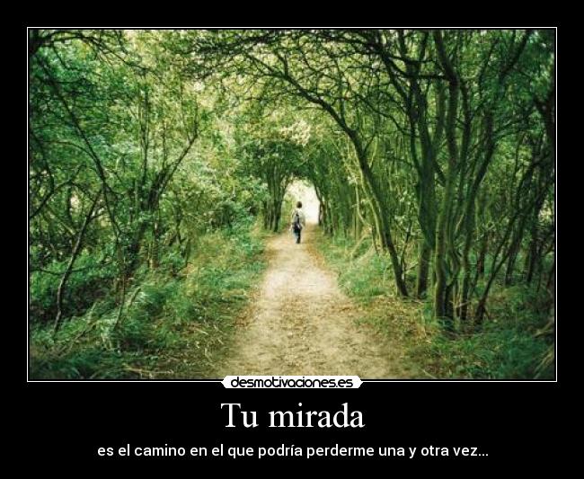 Tu mirada - es el camino en el que podría perderme una y otra vez...