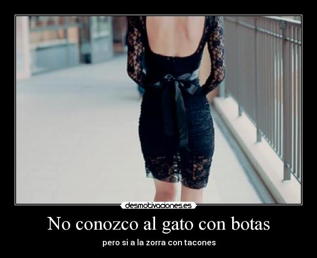 No conozco al gato con botas - pero si a la zorra con tacones