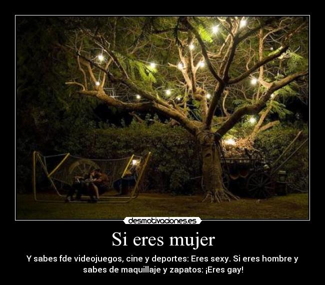 Si eres mujer - Y sabes fde videojuegos, cine y deportes: Eres sexy. Si eres hombre y
sabes de maquillaje y zapatos: ¡Eres gay!