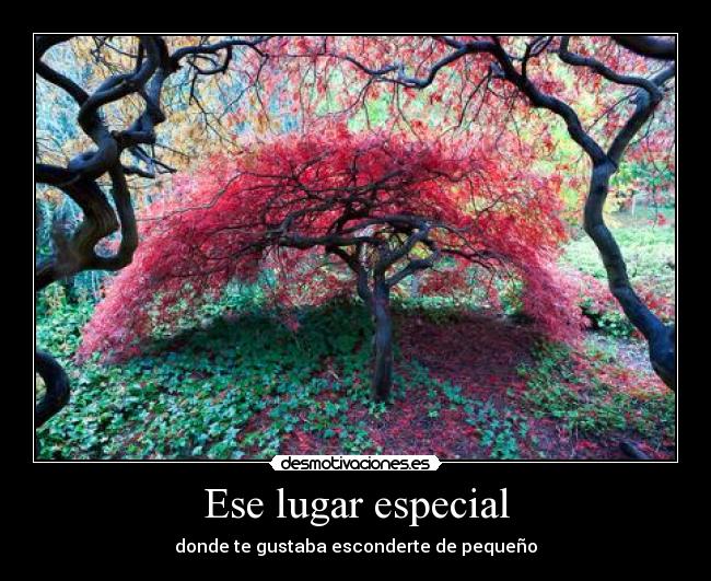 Ese lugar especial - 