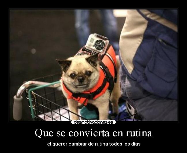 Que se convierta en rutina - el querer cambiar de rutina todos los días