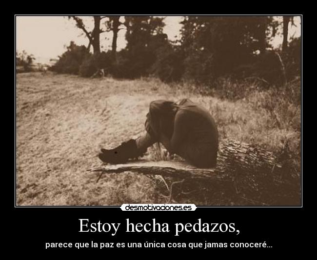 Estoy hecha pedazos, - parece que la paz es una única cosa que jamas conoceré...