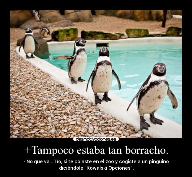 +Tampoco estaba tan borracho. - - No que va... Tío, si te colaste en el zoo y cogiste a un pingüino
diciéndole Kowalski Opciones.