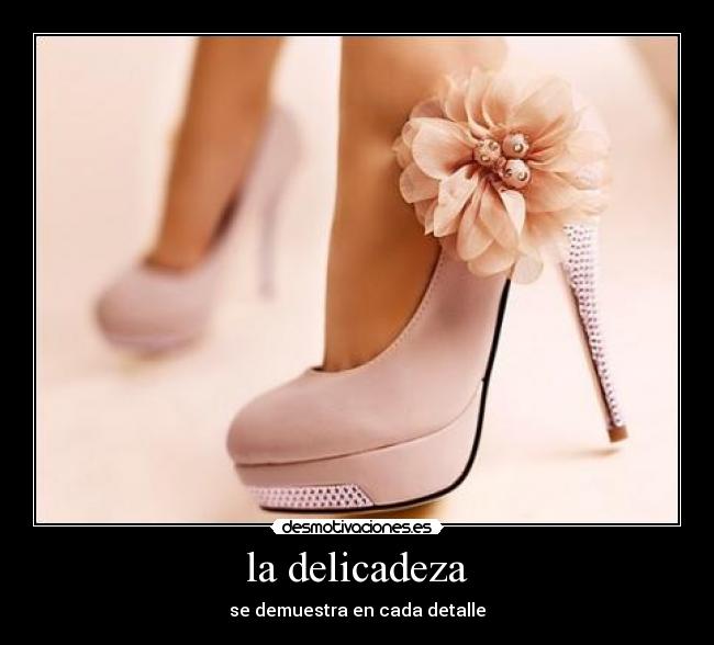 la delicadeza - 