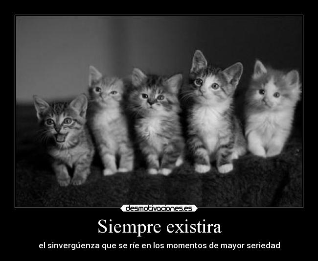 Siempre existira -