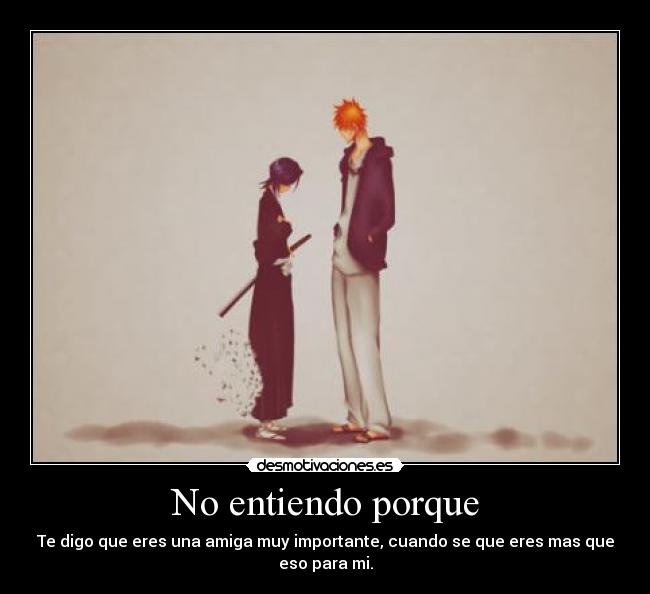 No entiendo porque -