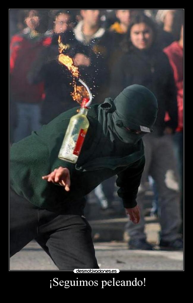 ¡Seguimos peleando! - 