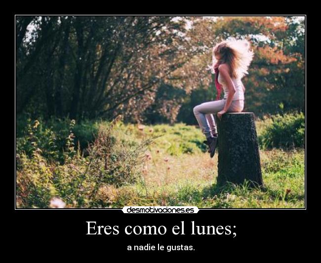 Eres como el lunes; - a nadie le gustas.