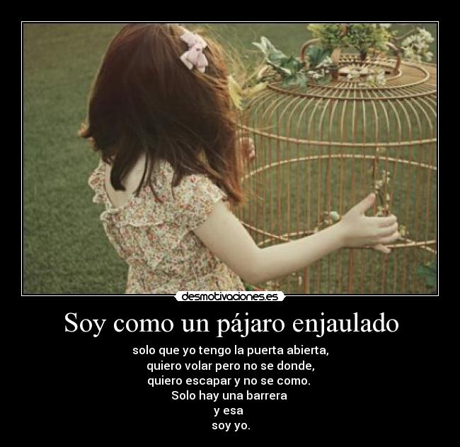 carteles soy propia barrera desmotivaciones