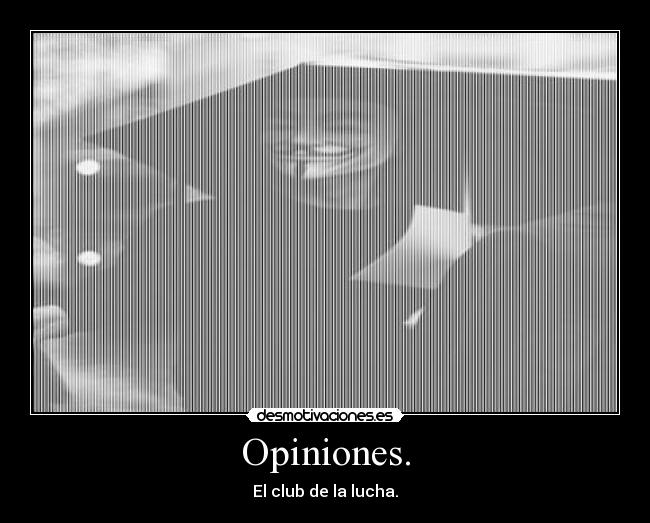 Opiniones. - El club de la lucha.