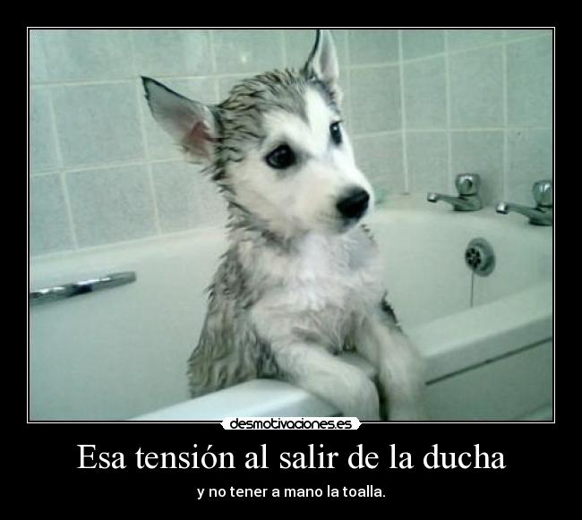 Esa tensión al salir de la ducha - y no tener a mano la toalla.