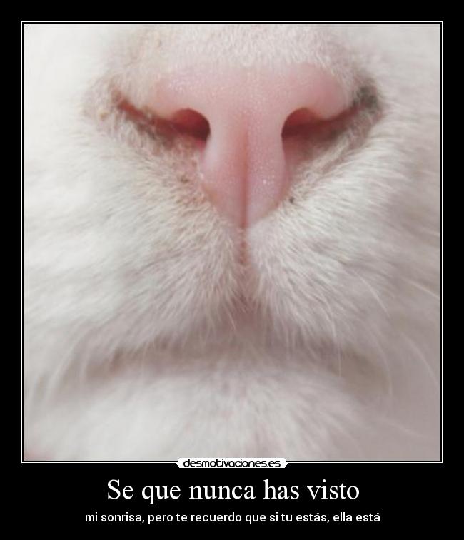 carteles nometientes intruders wii por vosotros efe adu dani javi monster nersa dejo alguie desmotivaciones