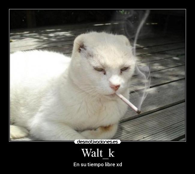 Walt_k - En su tiempo libre xd