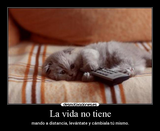 La vida no tiene - 