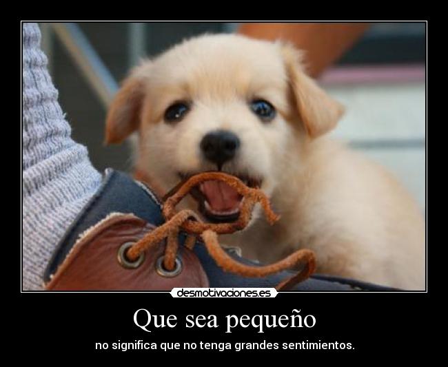 carteles maybedream desmotivaciones