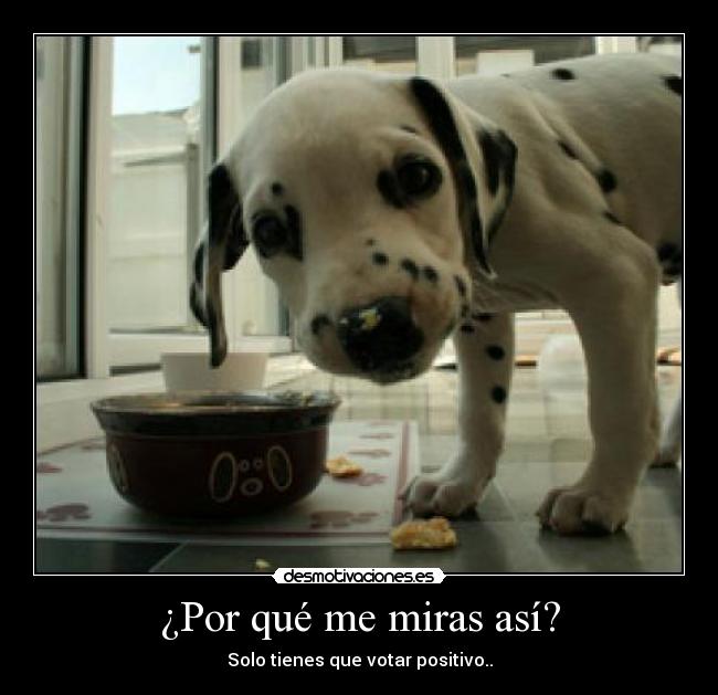 ¿Por qué me miras así? - 