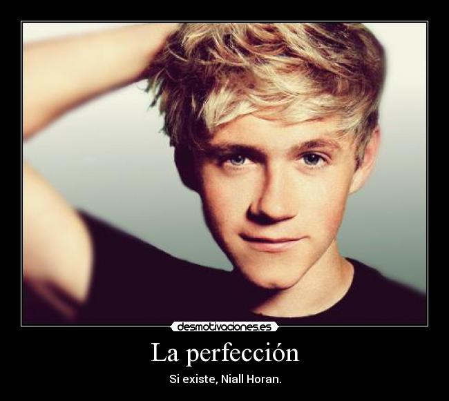 La perfección - 